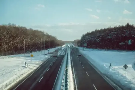 Vengrijos greitkelių tinklas ir vinječių pirkimas