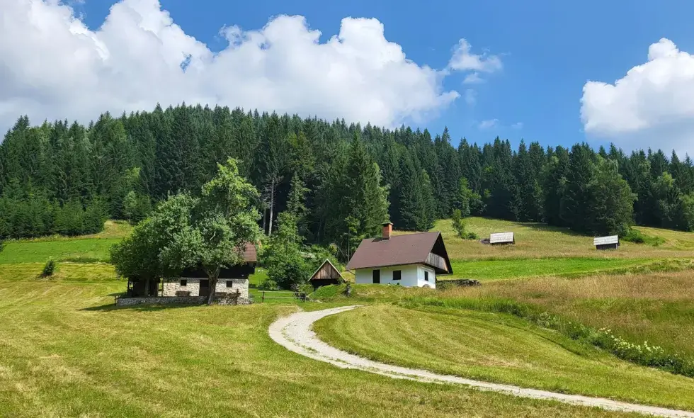 Slovenya'da otoyol yolculuğu: Gezilecek yerleri keşfedelim