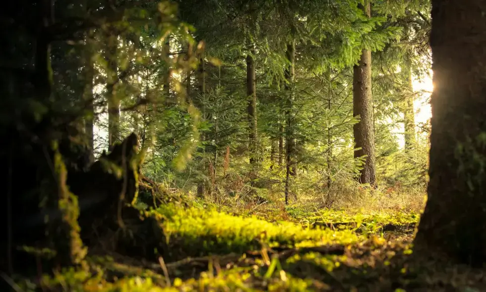 Experiențe în Slovenia pentru cei care călătoresc cu mașina