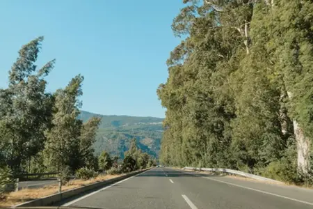Autostrăzile din Slovenia și informații importante despre achiziționarea vignetei pentru 2025